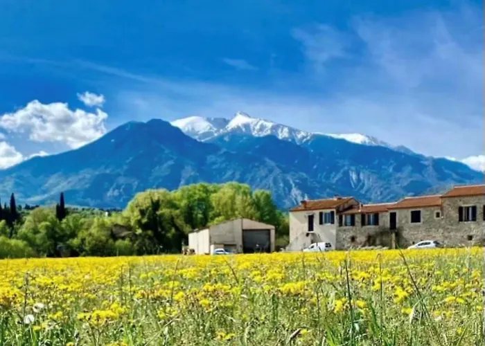 Gite Le Canigou 3 Etoiles